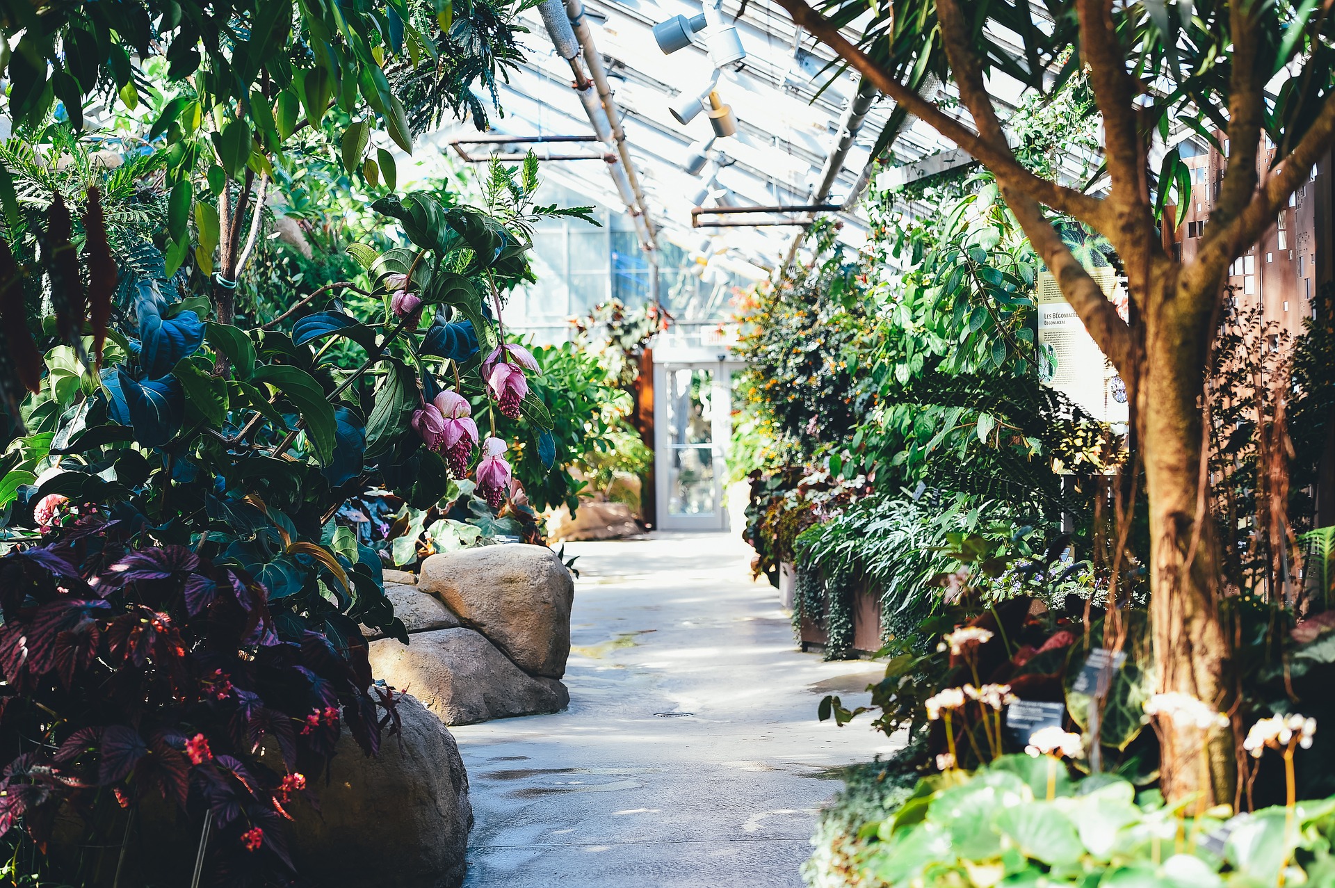 Gewächshaus tropisch botanischer Garten