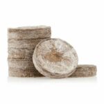 jiffy-quelltopf-1stk Produktbild