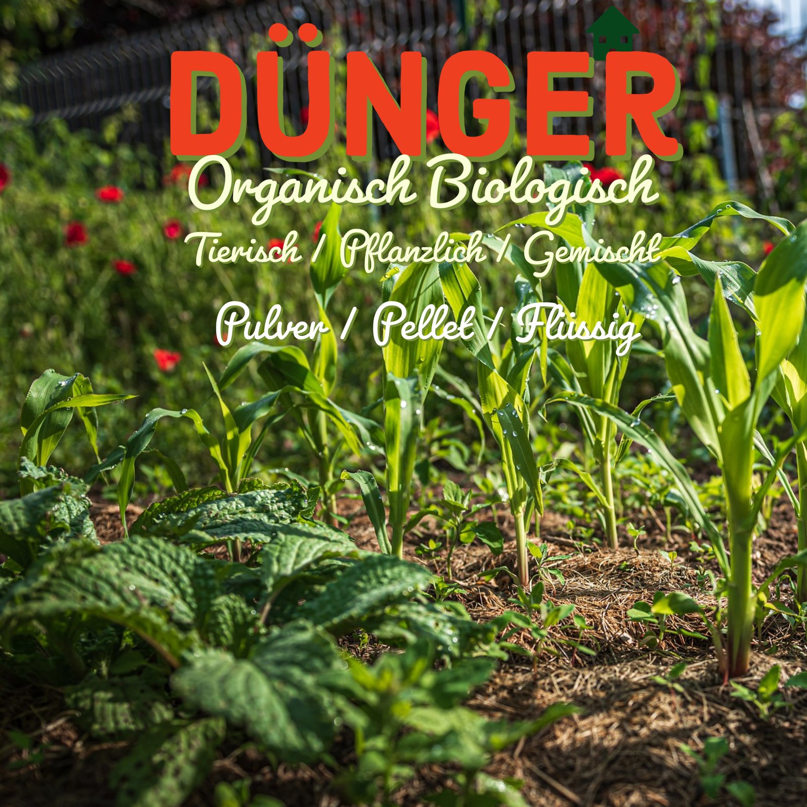 Dünger