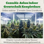 Webinar Cannabis Anbauen Indoor Growtechnik Komplettkurs