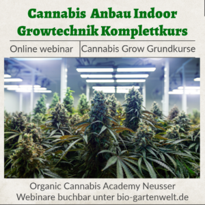 Webinar Cannabis Anbauen Indoor Growtechnik Komplettkurs