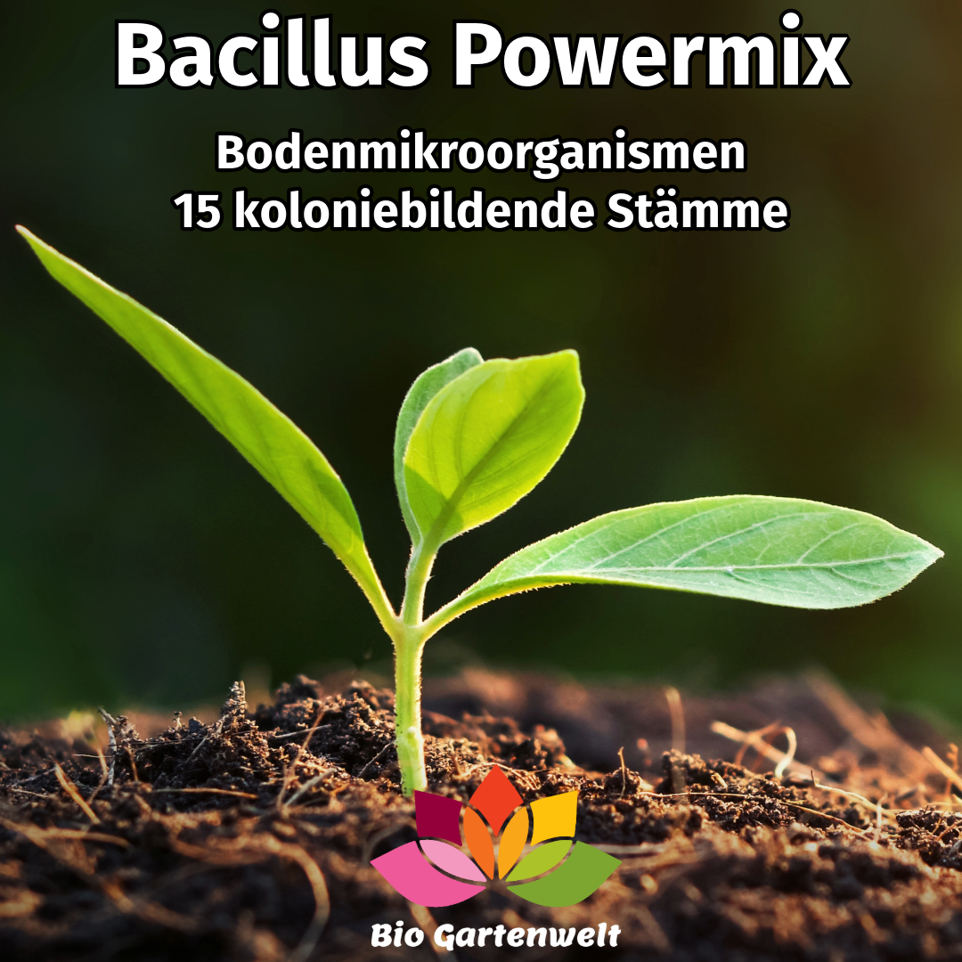 Bacillus Powermix Bodenmikroorganismen Produktbild