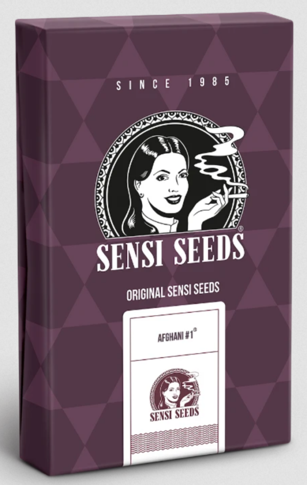 Afghani #1 - Sensi Seeds Produktbild