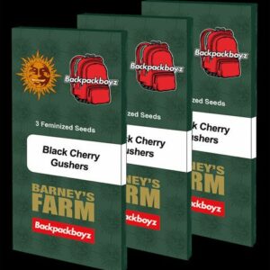 Black Cherry Gushers - Barney's Farm Produktbild