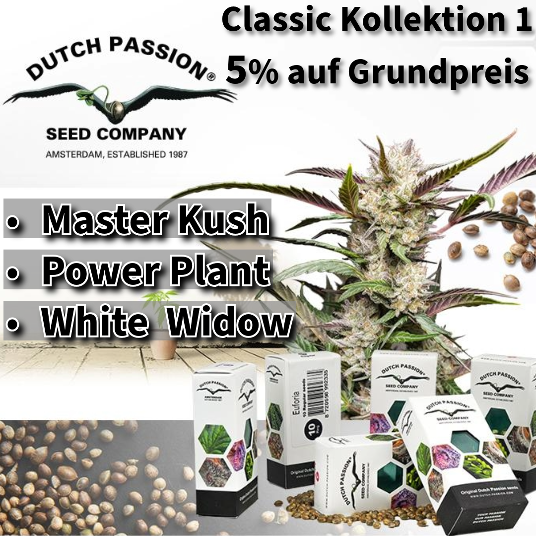 Dutch Passion Classic Kollektion 1 - Produktbild