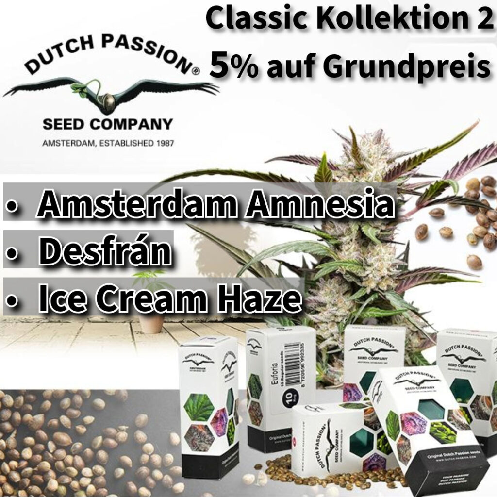 Dutch Passion Classic Kollektion 2 Produktbild