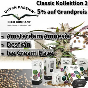 Dutch Passion Classic Kollektion 2 Produktbild
