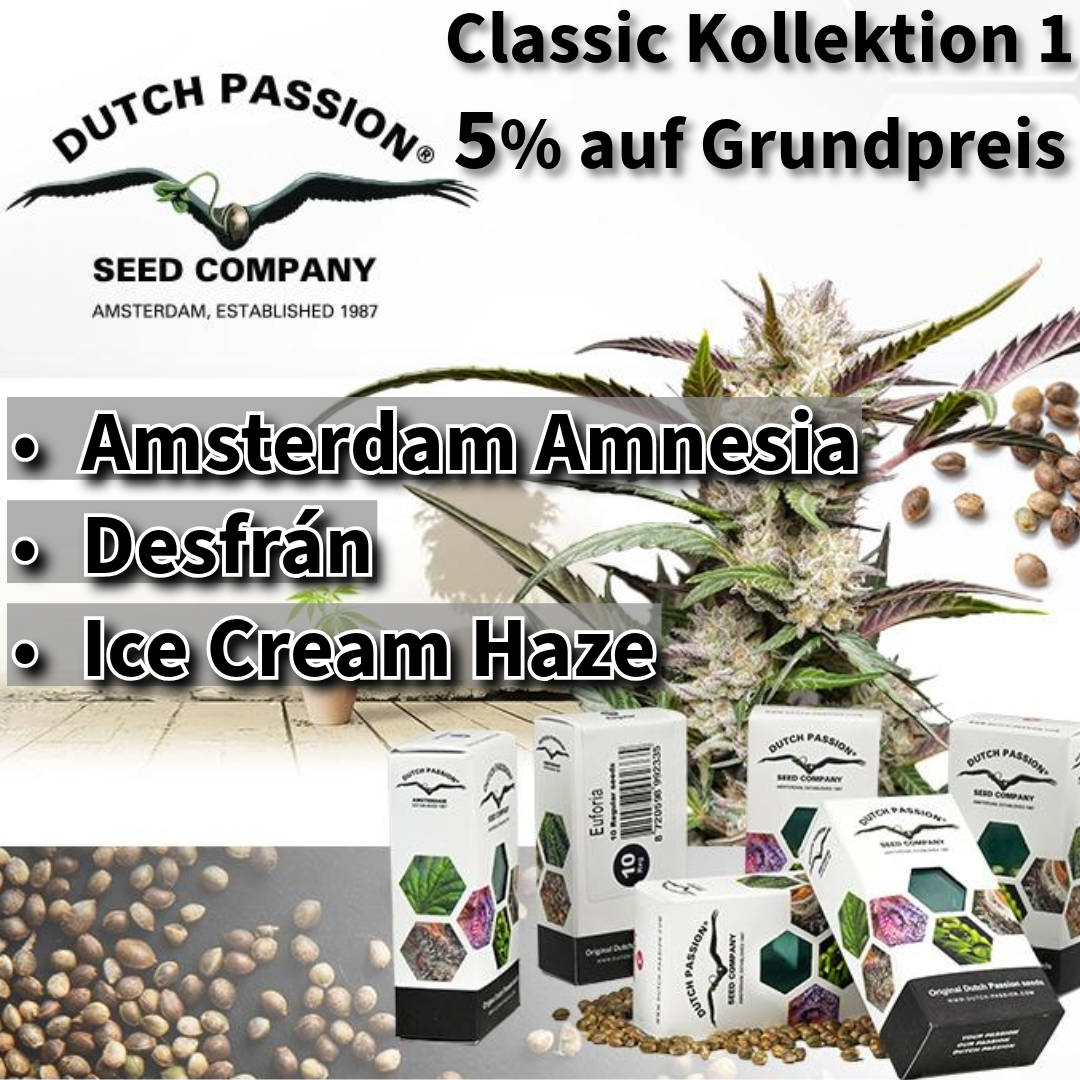 Dutch Passion Classic Kollektion 2 - Produktbild