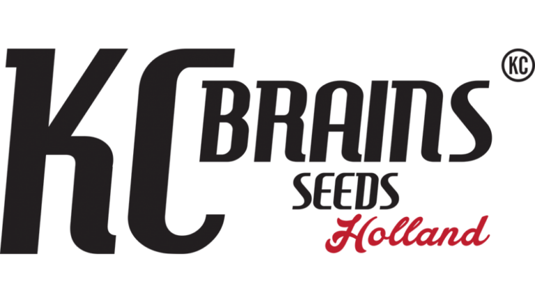 KC Brains Logo
