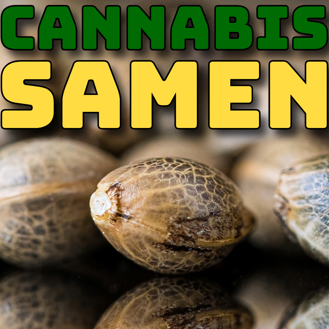Cannabis Samen kaufen - Produktkategoriebild