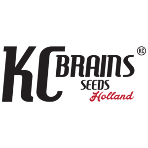 KC Brains