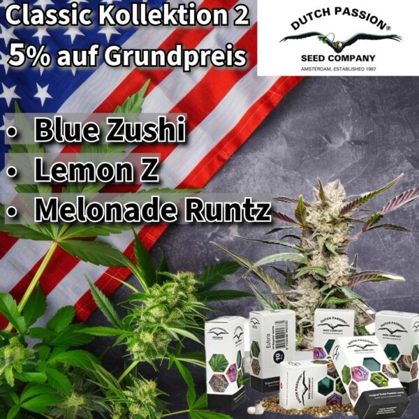 Dutch Passion USA Kollektion 2 Dutch Passion USA Kollektion 2