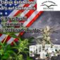 Dutch Passion USA Kollektion 2