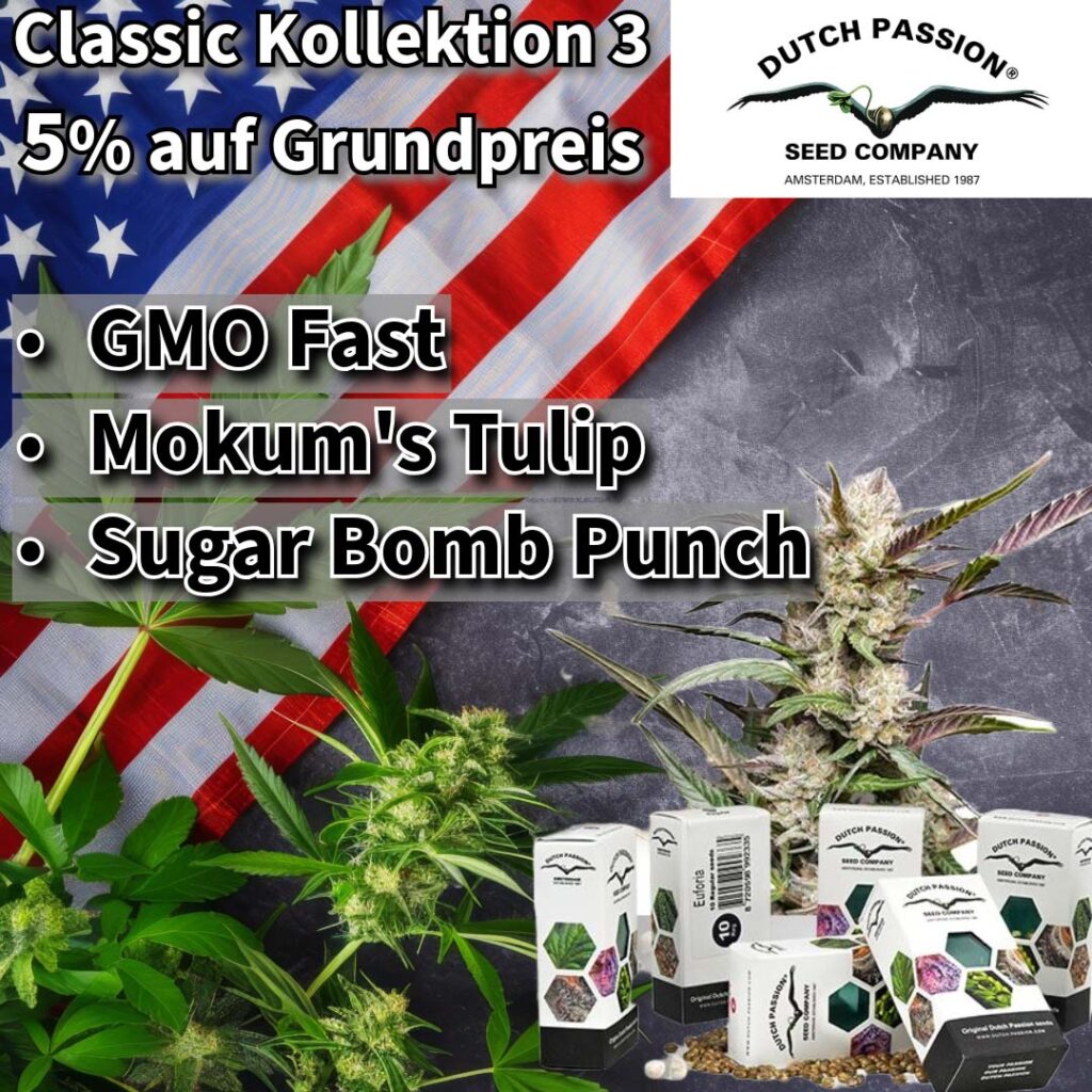 Dutch Passion USA Kollektion 3