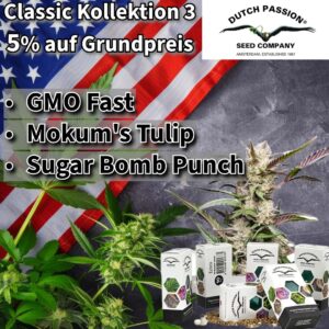 Dutch Passion USA Kollektion 3