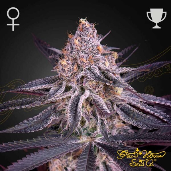 King's Juice - Green House Seeds kaufen