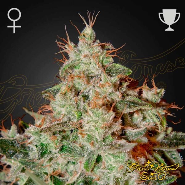 Lemon Skunk - Green House Seeds kaufen