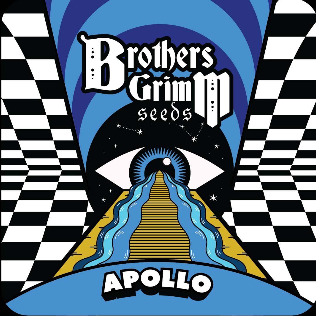 Apollo - Brothers Grimm Seeds kaufen - Produktbild