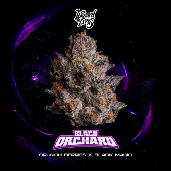Black Orchard - Wizard Trees Cannabis Samen kaufen
