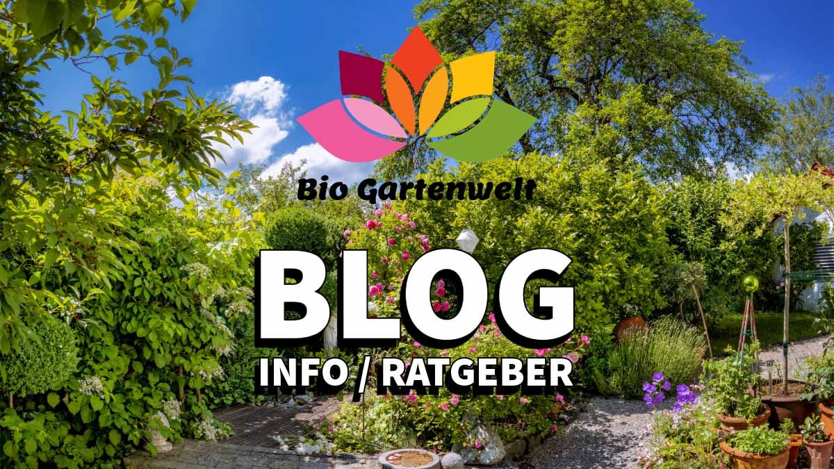 Blog - Informationen und Ratgeber zu Online Shop und Sortiment