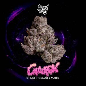 Cauldron - Wizard Trees Cannabis Samen kaufen