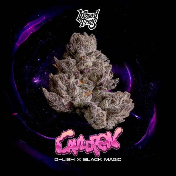 Cauldron - Wizard Trees Cannabis Samen kaufen