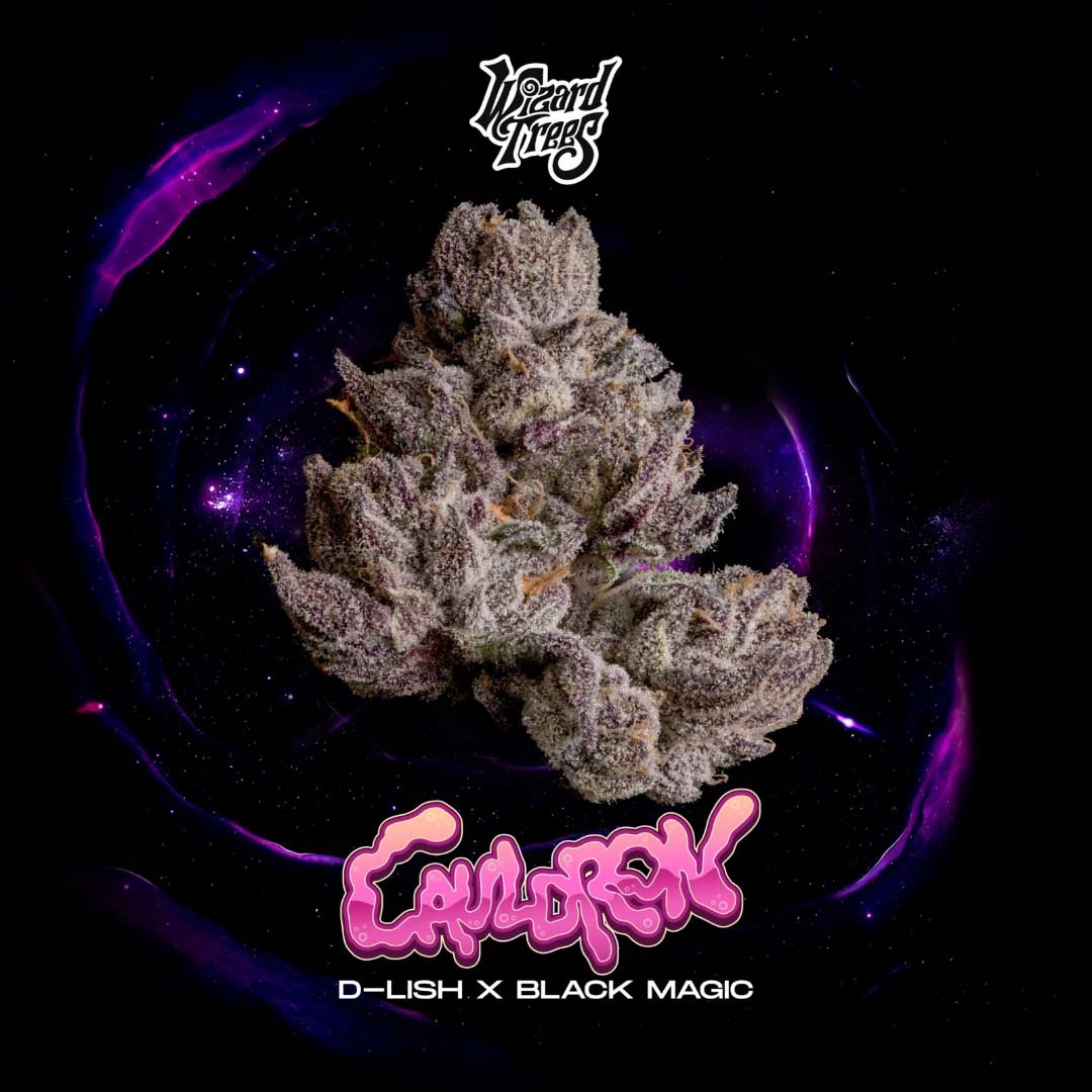 Cauldron - Wizard Trees Cannabis Samen kaufen