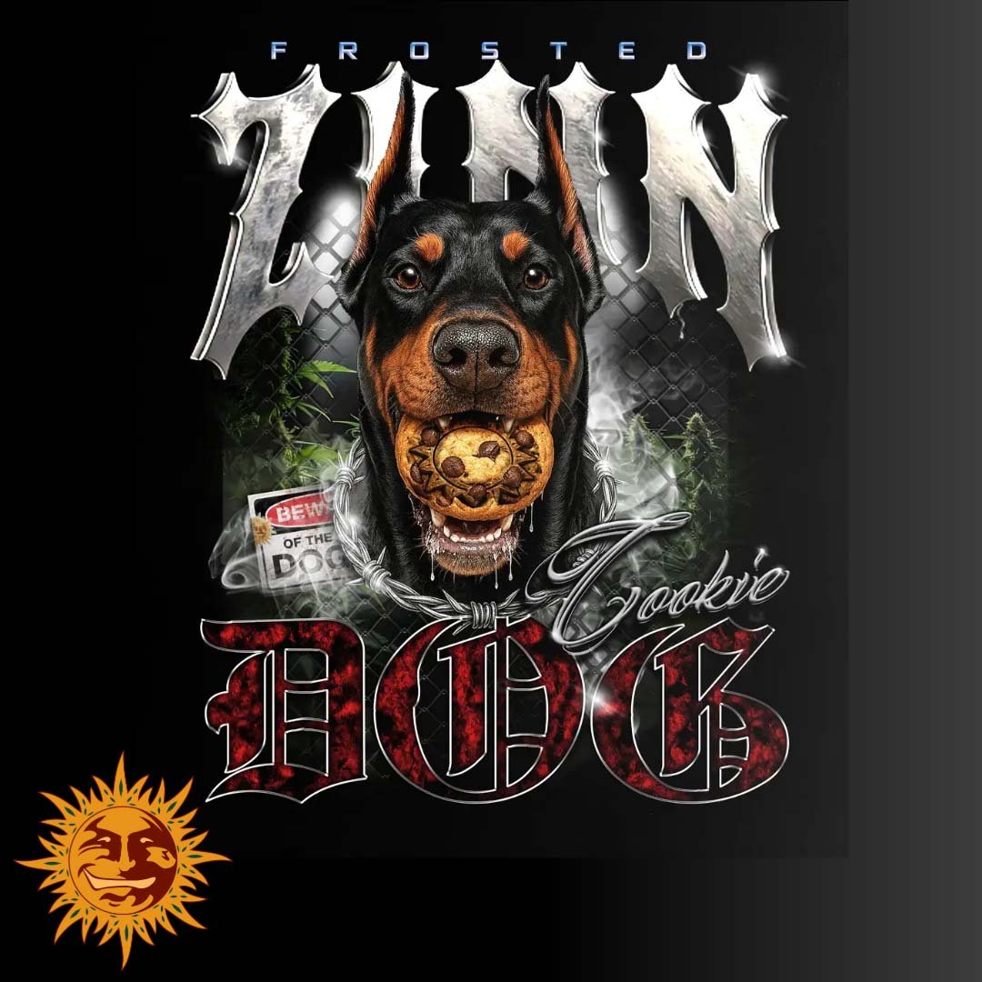 Frosted Zinn x Cookie Dog Auto - Barneys Farm Cannabis Samen kaufen Produktbild