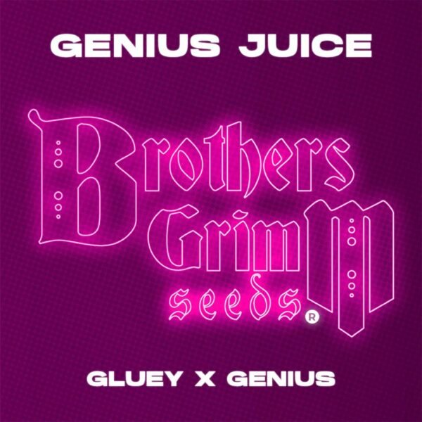 Genius Juice - Brothers Grimm Seeds kaufen - Produktbild