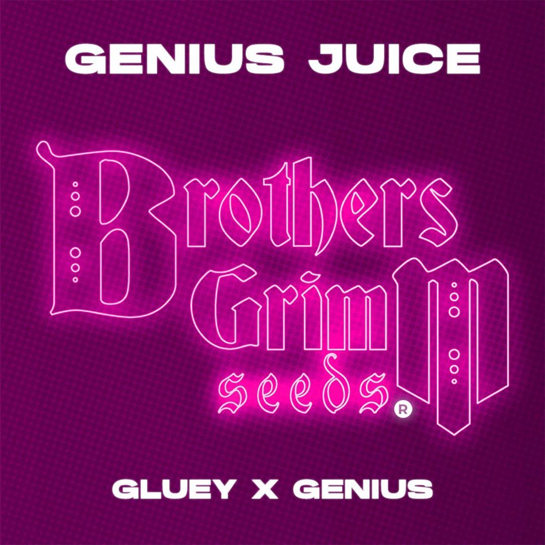 Genius Juice - Brothers Grimm Seeds kaufen - Produktbild