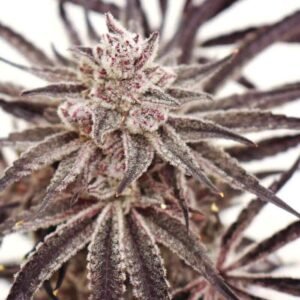 Grape Amethyst - Lovin In Her Eyes Produktbild 2