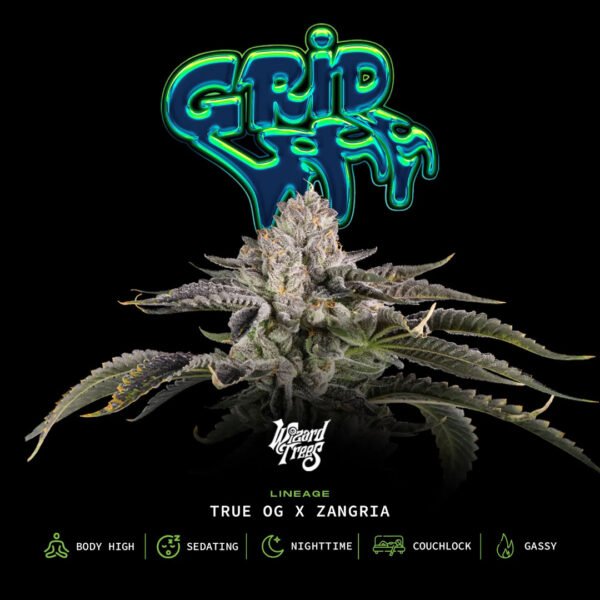 Gridlock - Wizard Trees Cannabis Samen kaufen