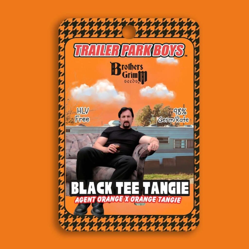 Julians Black Tee Tangie Trailer Pary Boys Collab - Brothers Grimm Seeds kaufen - Produktbild
