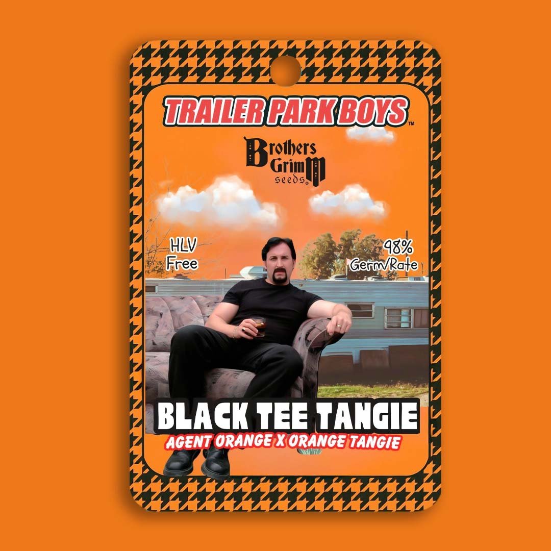 Julians Black Tee Tangie Trailer Pary Boys Collab - Brothers Grimm Seeds kaufen - Produktbild