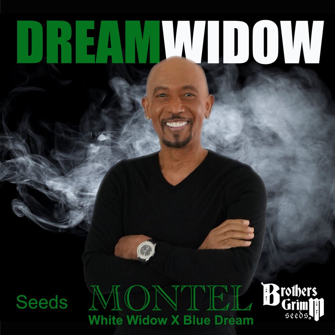 Montels Dream Widow - Brothers Grimm Seeds - Produktbild