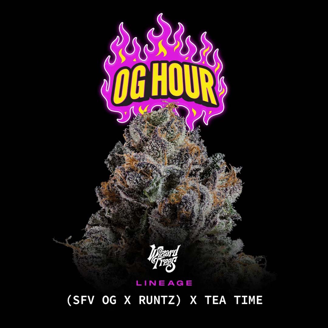 OG Hour - Wizard Trees Cannabis Samen kaufen