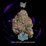 Potion - Wizard Trees Cannabis Samen kaufen