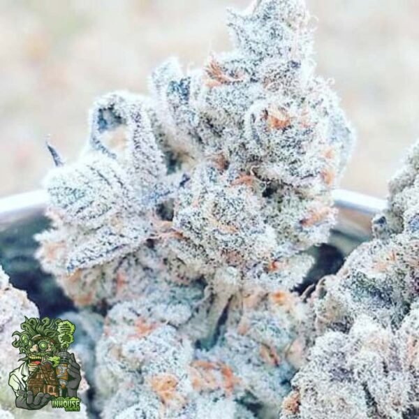 Jelly Breath S1 - In House Genetics Cannabis Samen kaufen