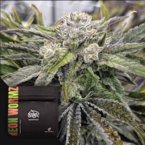 Neon Wormz - Doja Seeds kaufen - Premium Seedbank aus Kalifornien USA Produktbild