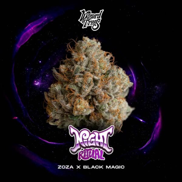 Night Ritual - Wizard Trees Cannabis Samen kaufen Night Ritual - Wizard Trees Cannabis Samen kaufen