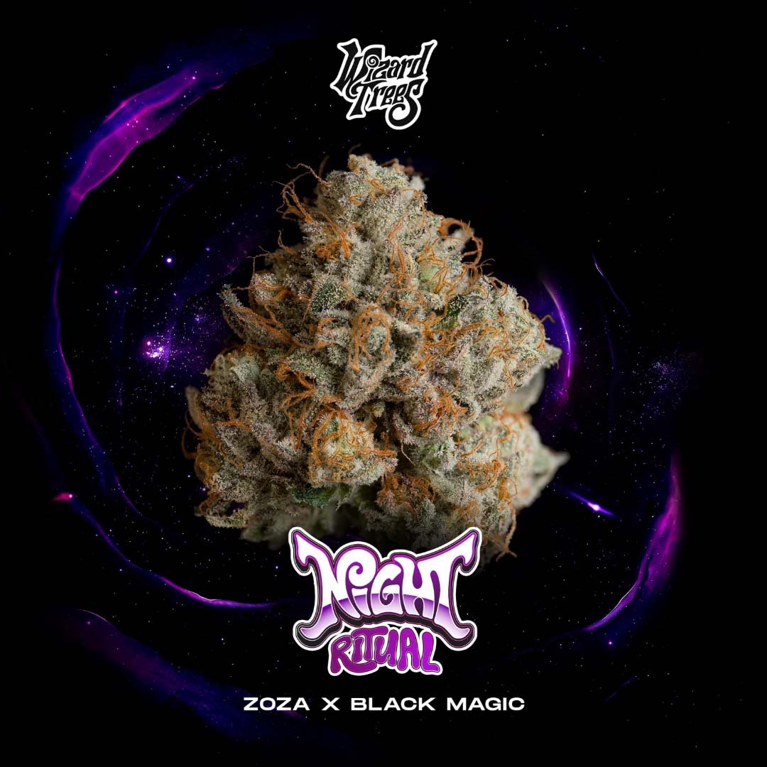Night Ritual - Wizard Trees Cannabis Samen kaufen