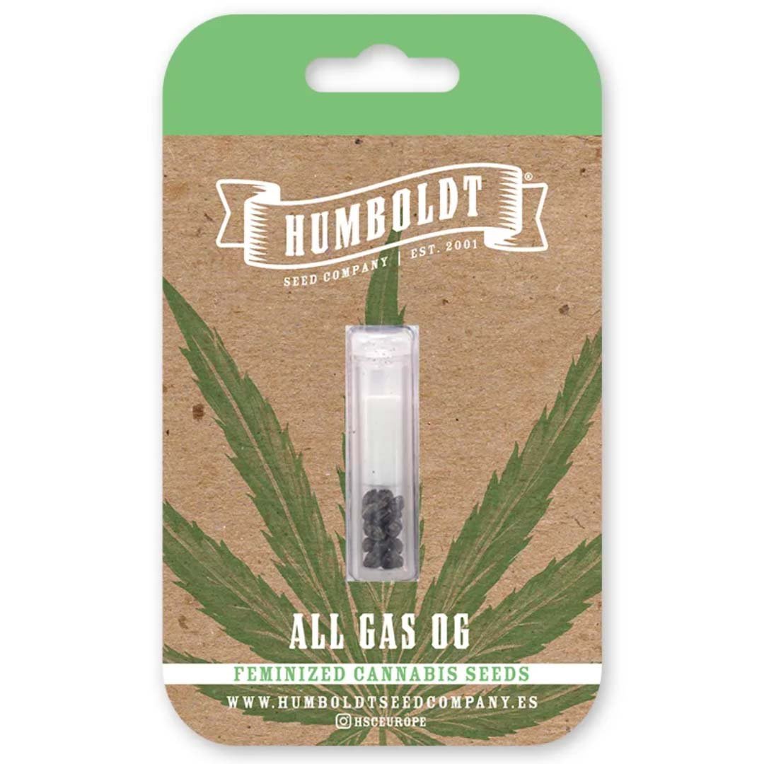 All Gas OG von Humboldt Seeds - Cannabis Samen kaufen - Packung