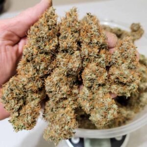 Auto Power Plant - Dutch Passion Cannabis Samen kaufen - getrocknete Blüten Nahaufnahme - Produktbild 3