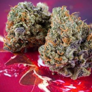 Auto Strawberry Soda - Dutch Passion Cannabis Samen kaufen - Blüten getrocknet - Produktbild 3