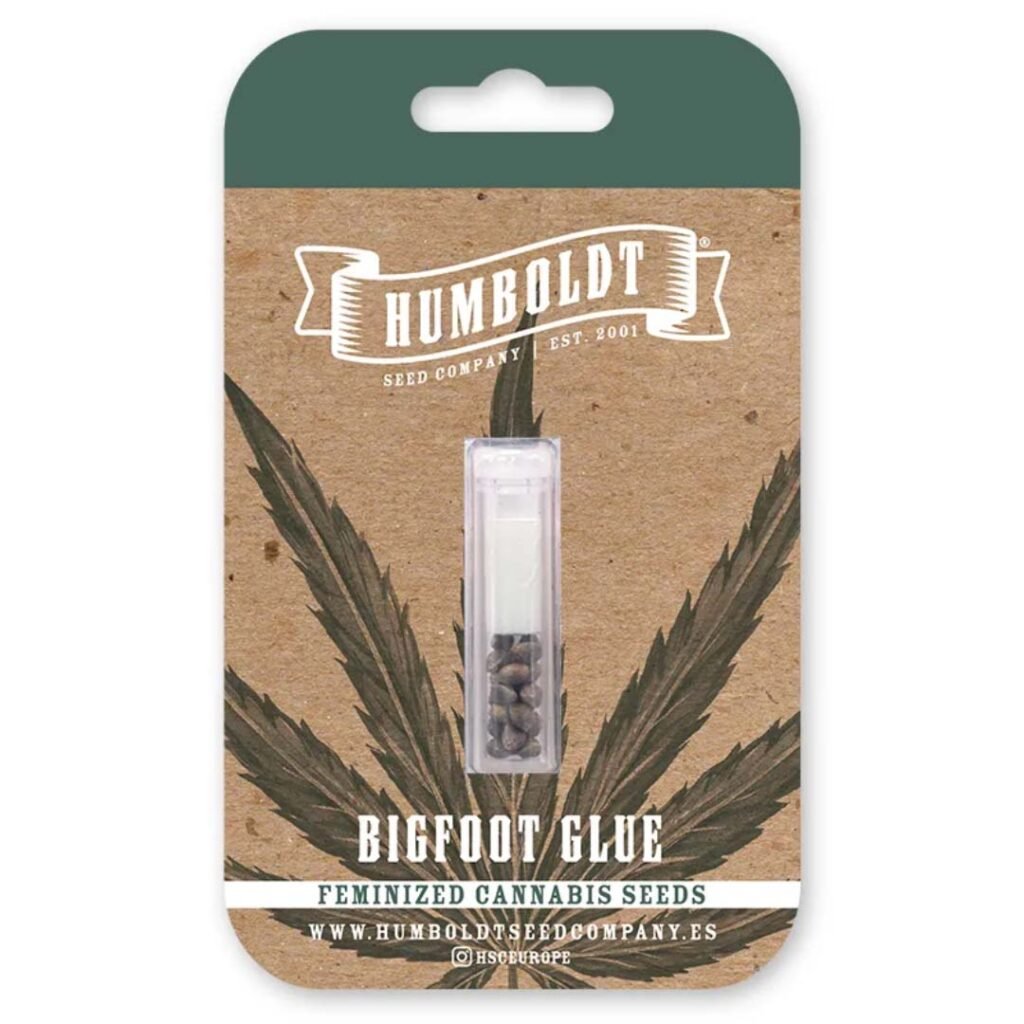 Bigfoot Glue von Humboldt Seed Company - Cannabis Samen kaufen - Packung