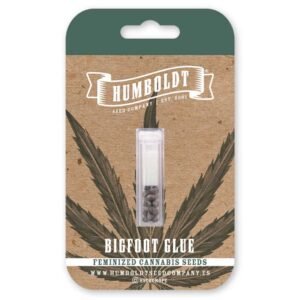Bigfoot Glue von Humboldt Seed Company - Cannabis Samen kaufen - Packung