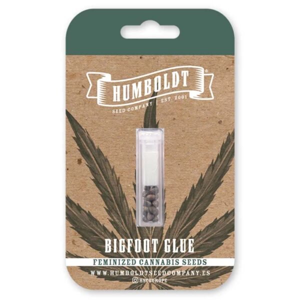 Bigfoot Glue von Humboldt Seed Company - Cannabis Samen kaufen - Packung