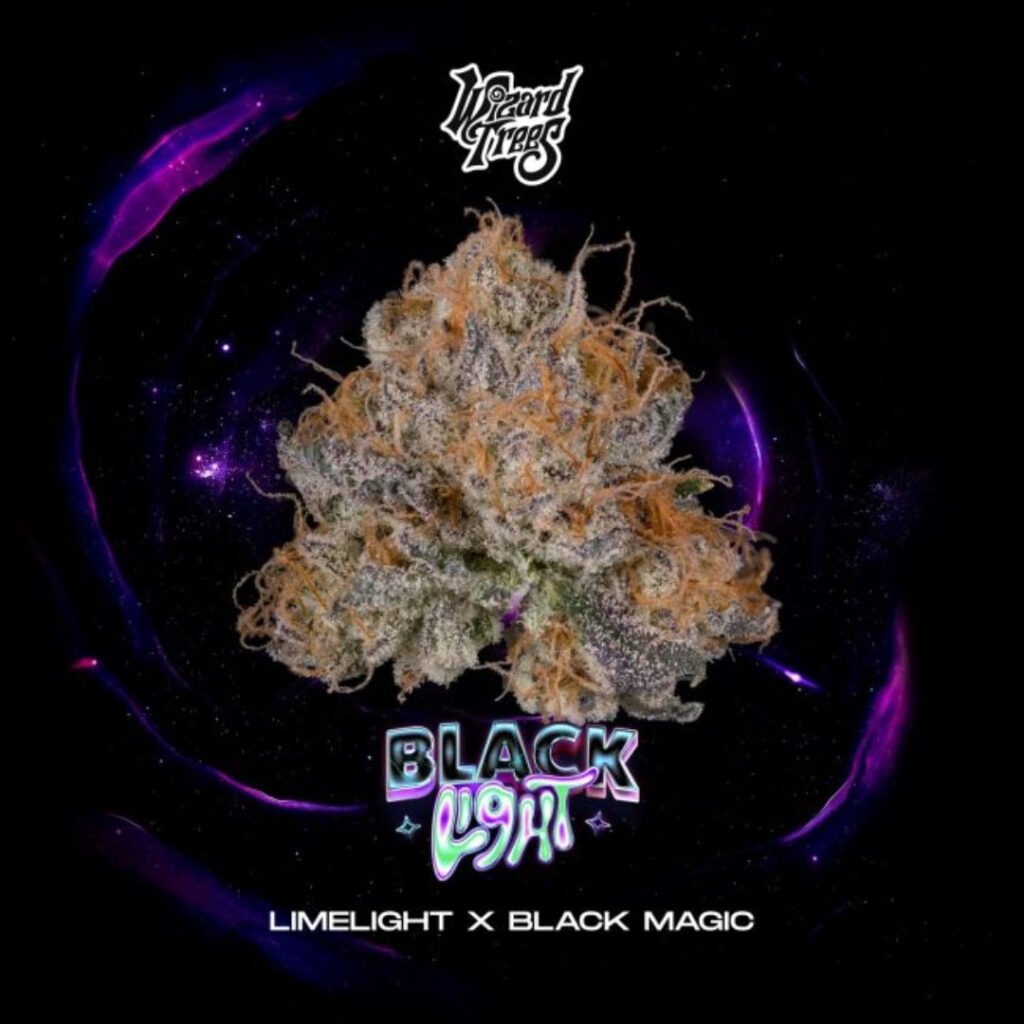 Blacklight - Wizard Trees Cannabis Samen kaufen
