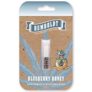 Blueberry Honey – Bild 2