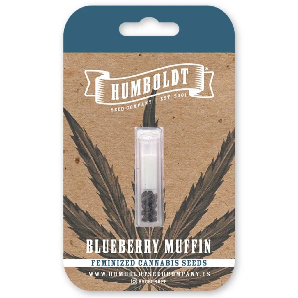 Blueberry Muffin von Humboldt Seed Company - Cannabis Samen kaufen - Packung